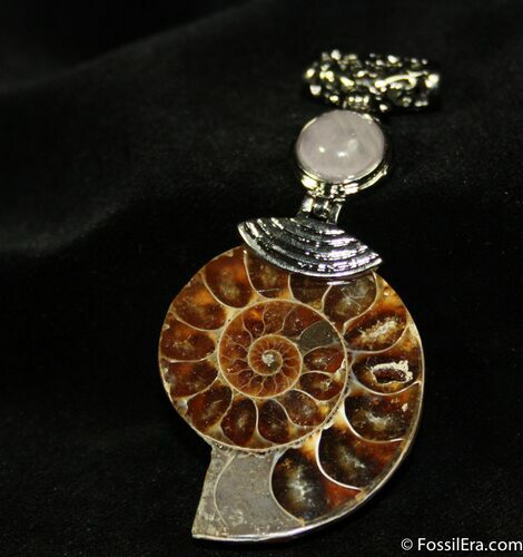 Ammonite Pendant #665